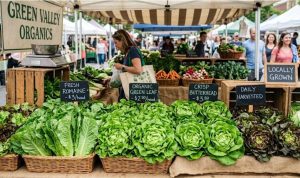 Cyclospora outbreak in lettuce