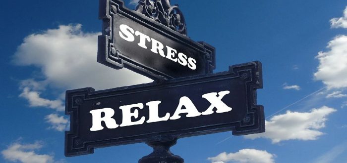 Small Daily Changes for Lasting Stress Relief