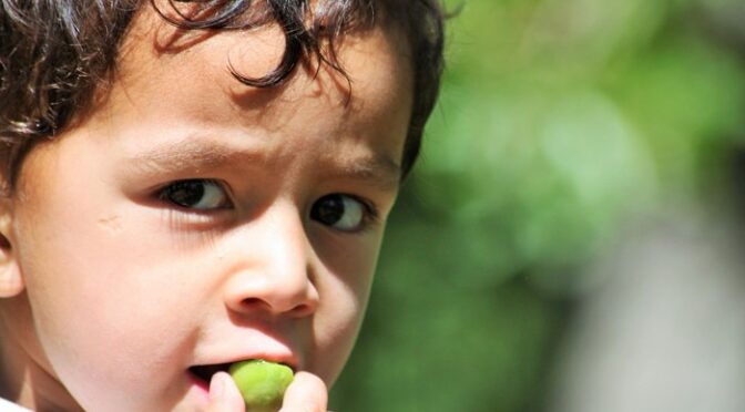 Normal Cholesterol Levels in Children